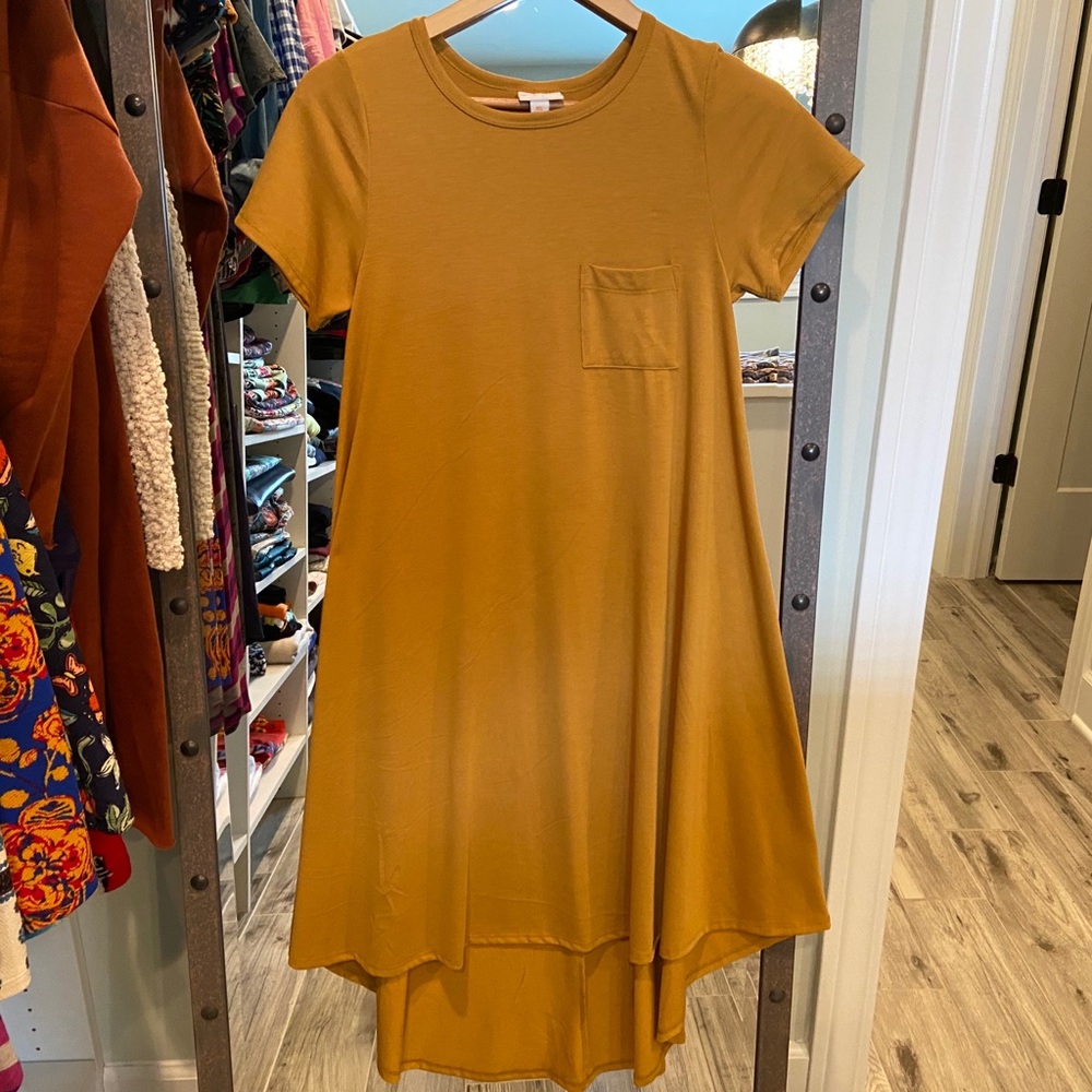LuLaRoe Carly Dress
